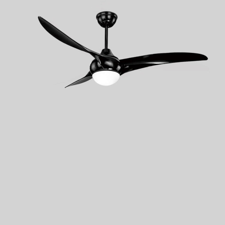 black ceiling fan