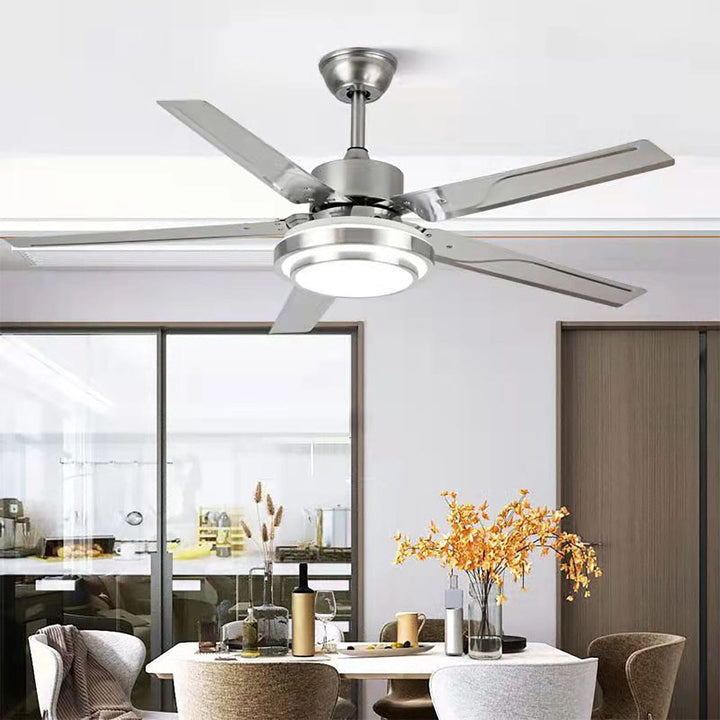Stainless steel ceiling fan